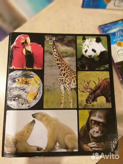 Коллекция Энциклопедия В мире дикой природы+DVD