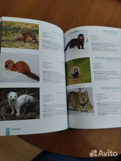 Книга Кандинские озера, красная книга