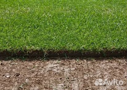 Гидропосев