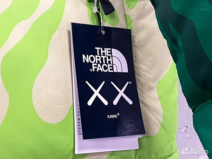 Пуховик The North Face 1996 kaws Green Print