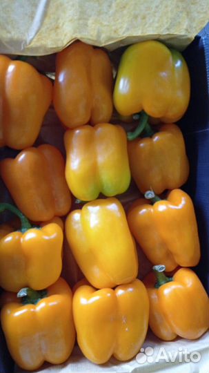 Овощи, фрукты и зелень