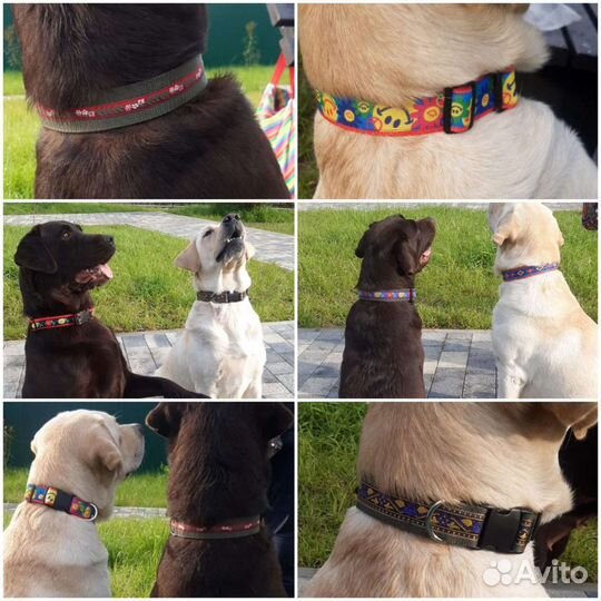 Ошейник, поводки, шлейки. Цены до