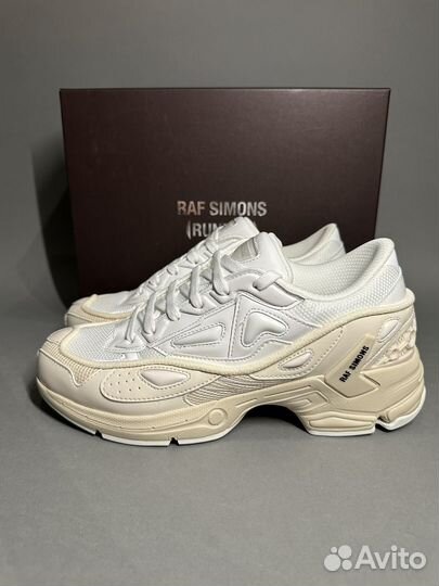 Raf Simons Pharaxus