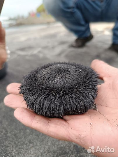 Экскурсии по о. Итуруп джип тур