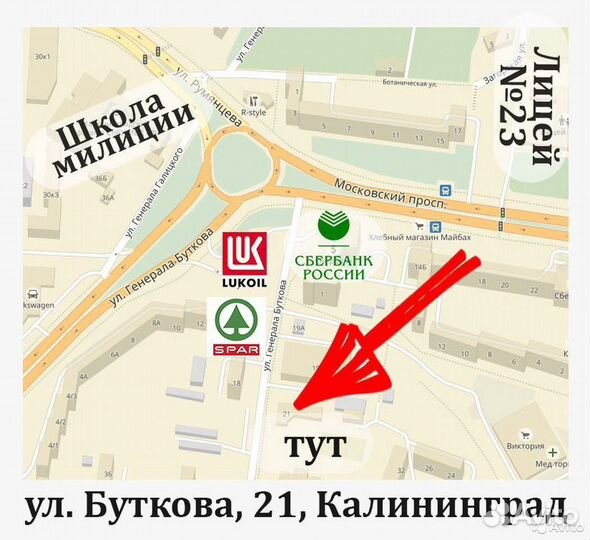 Шапка ушанка