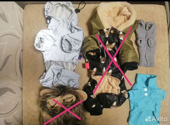 Одежда для маленьких собак