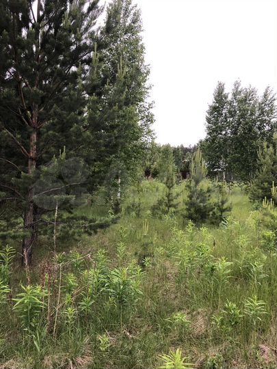 Участок 15 сот. (СНТ, ДНП)