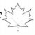 Maple Leaf