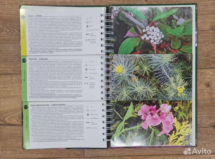 Книга Миллиoн цветов на вашeм учаcтке