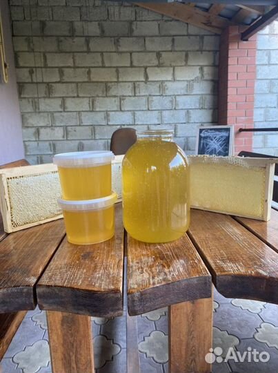 Мед липовый 2023г Новый урожай