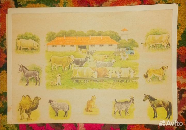 Обучающие карточки