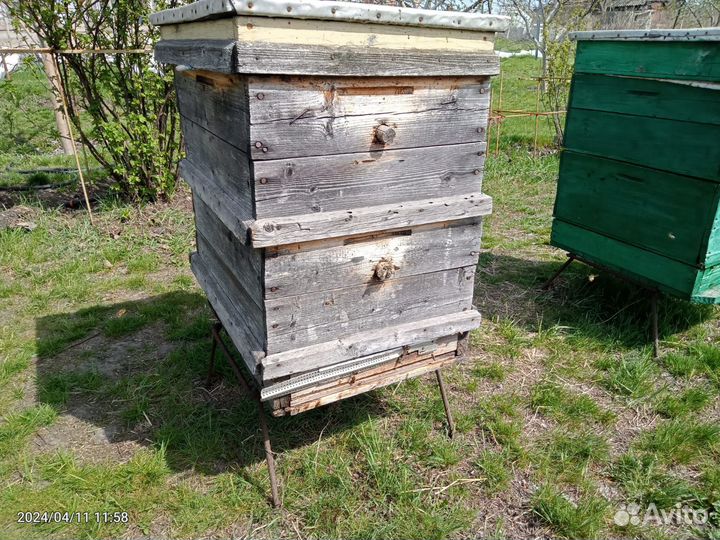 Продается пасека