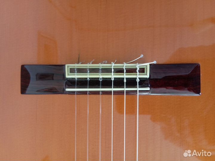 Классическая гитара Paulino Bernabe modelo 5