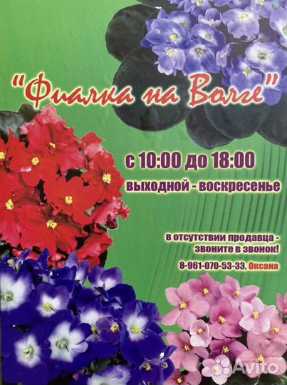 Магазин фиалок «фиалка на волге»