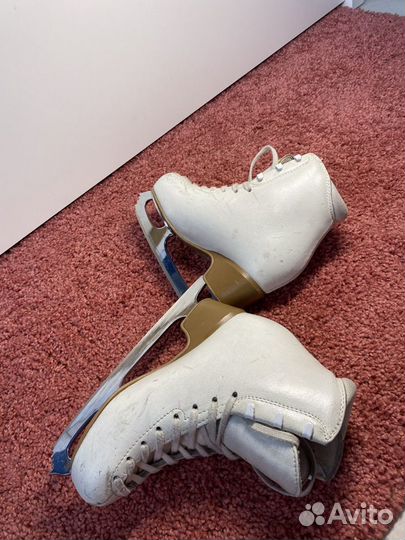 Коньки edea Chorus, 210 размер