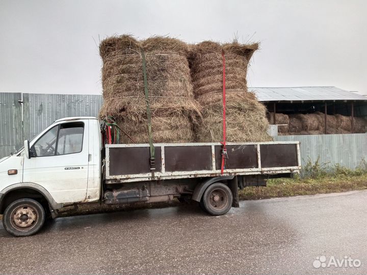 Сено ангарное, доставка