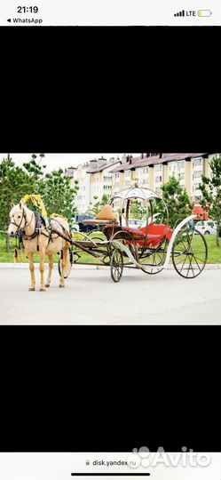 Прокат лошадей