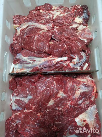 Продам мясо говядина, крупный кусок оптом