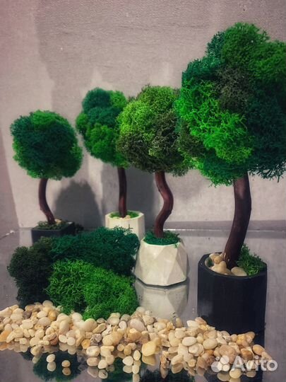 Декоративное дерево со мхом. Топиарий