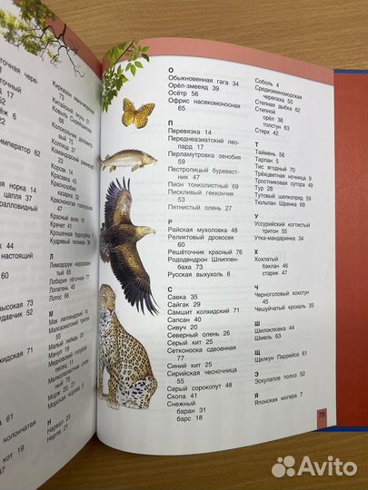 Красная книга россии