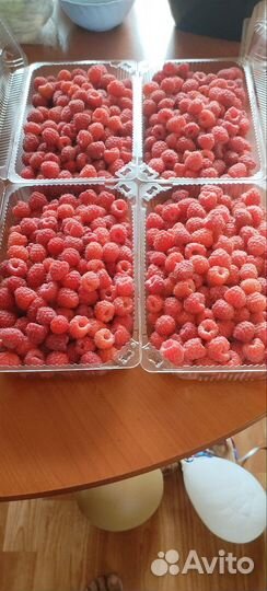 Малина свежая