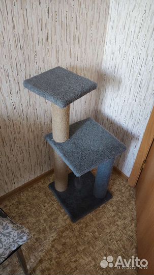 Когтеточка