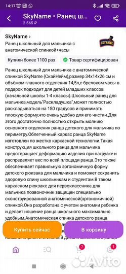 Ранец школьный Skyname