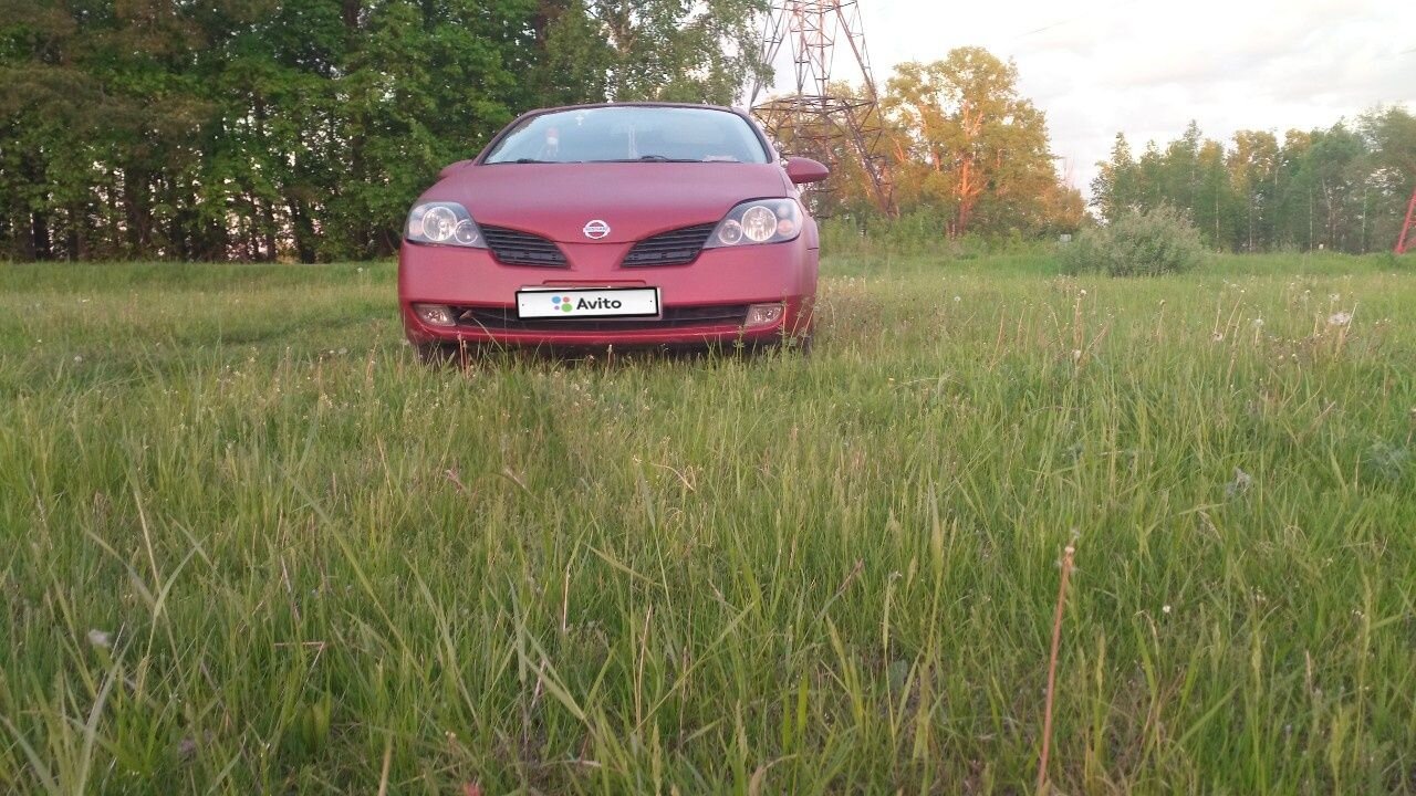Nissan Primera: фото владельца