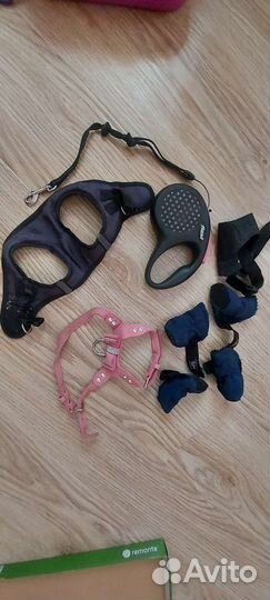 Одежда для маленьких собак