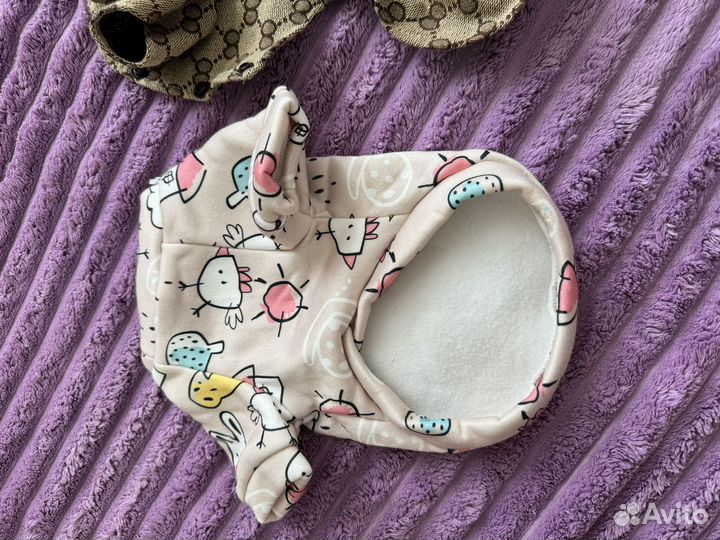 Одежда для собак мелких пород