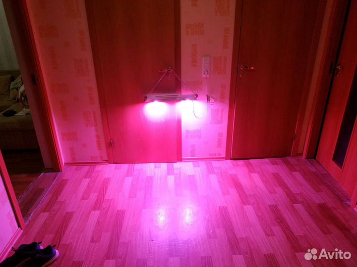 Фитолампа led 100 watt