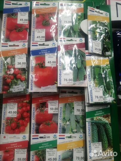 Семена Vita Green