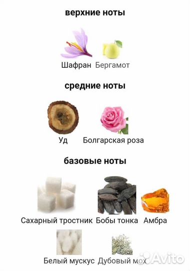 Montale Arabians Tonka