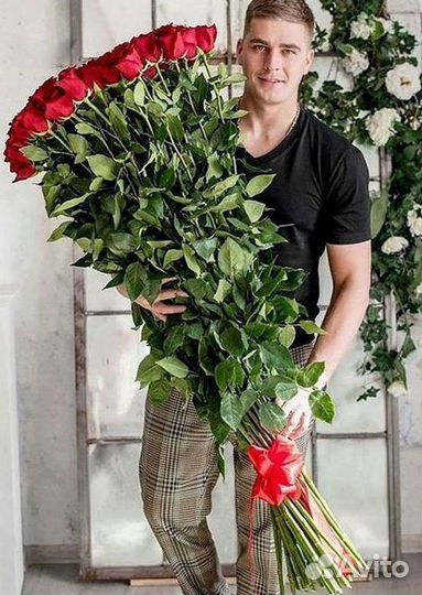 Розы гиганты 140 150 160 170 180 200