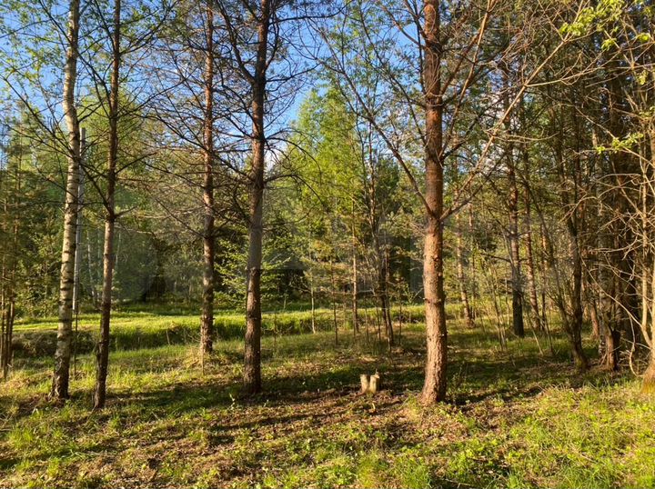 Участок 20 сот. (СНТ, ДНП)