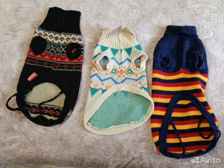 Одежда для собак мелких пород