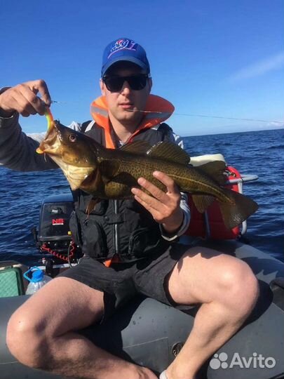 Морская рыбалка,охота, белое море, треска, зубатка