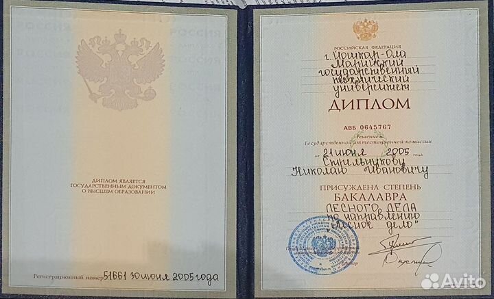 Услуги в области лесного хозяйства