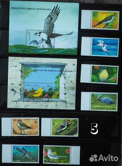 Чистые марки Фауна и Флора