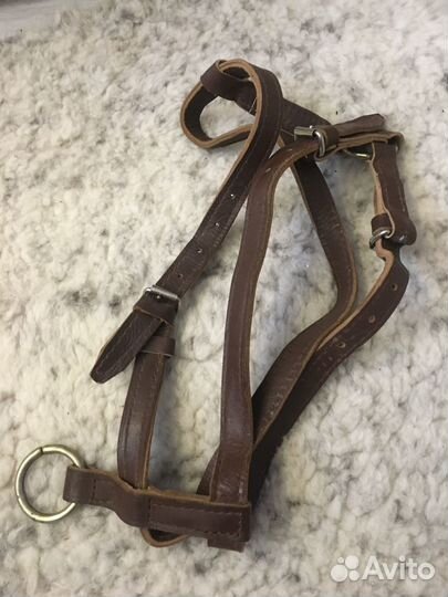 Шлея для собак