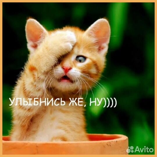 Афганский казан оптом