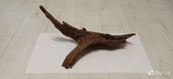 Коряги,анциструсы,улитки,tetra корм