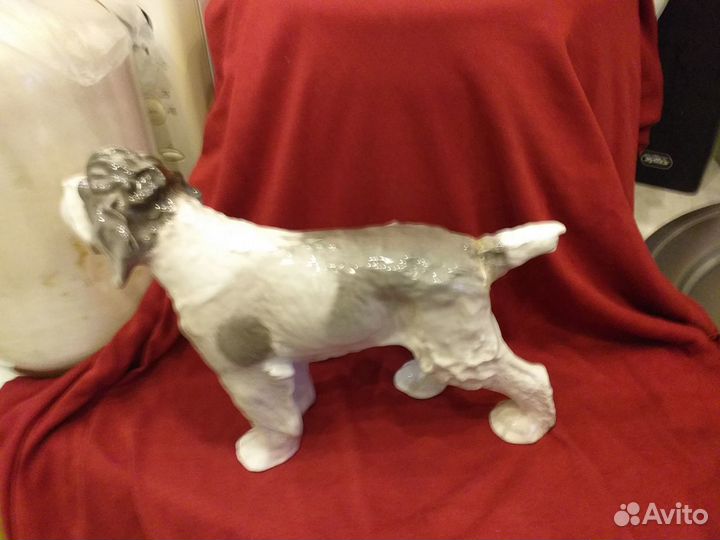 Фарфор.Собака.Грифон