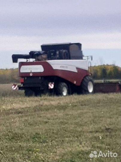 Пшеница, овёс урожай2023г