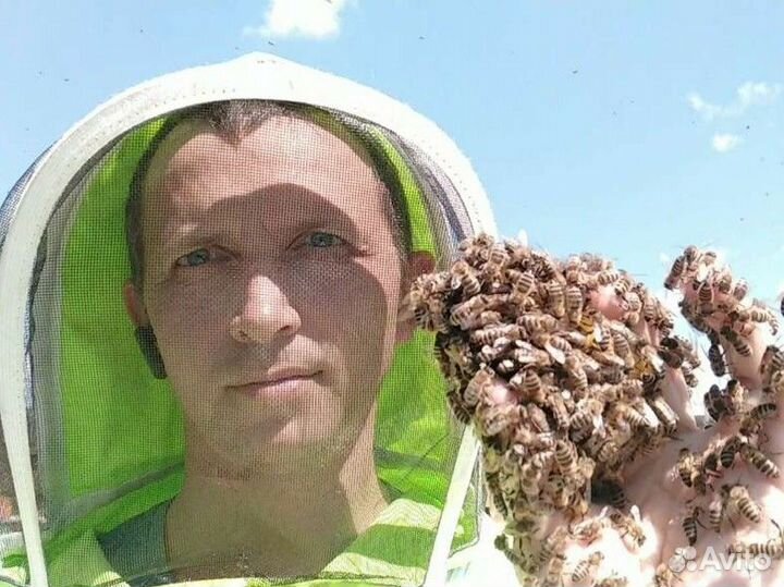 Продукты пчеловодства, мед натуральный