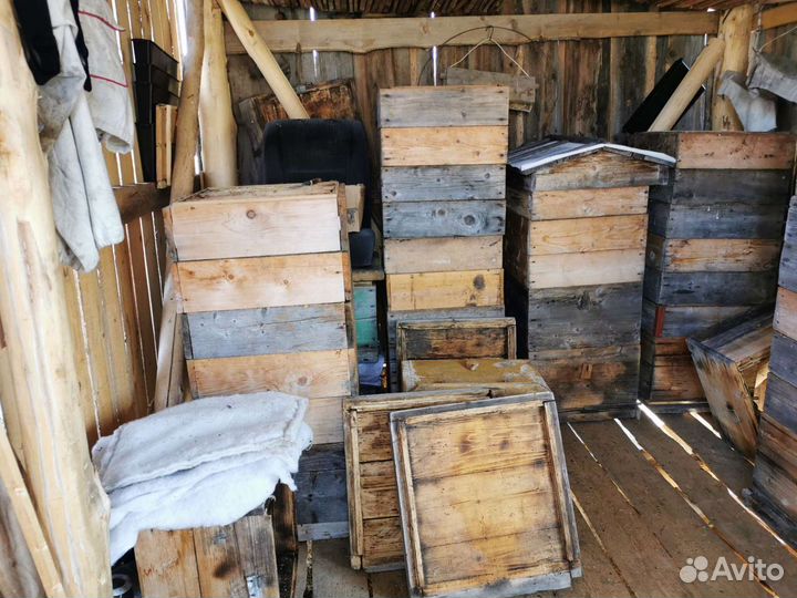 Продам ульи для пчел