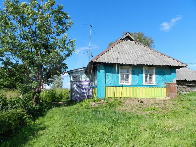 Новгородская область демянский район деревня ользи фото