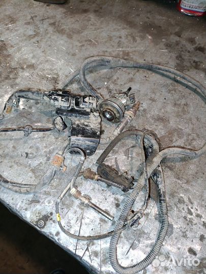 Фусо картер экология