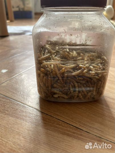 Смесь для насекомых