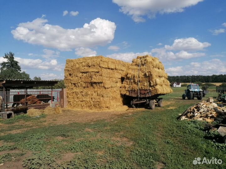 Солома в тюках